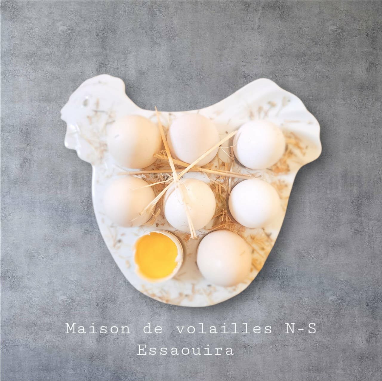 095e403f-a75d-43d4-bfad-b9c4a1e7a3cd