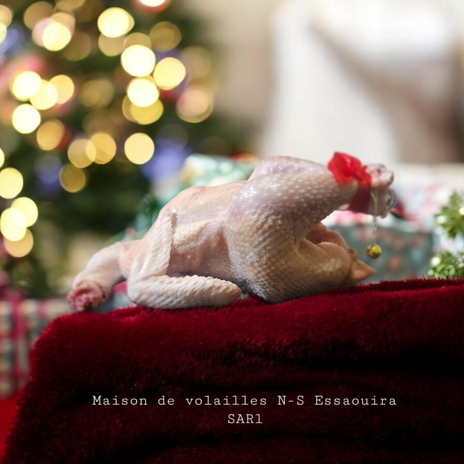 54d22b0f-1b10-4e07-9c72-1ae3af26cf0a