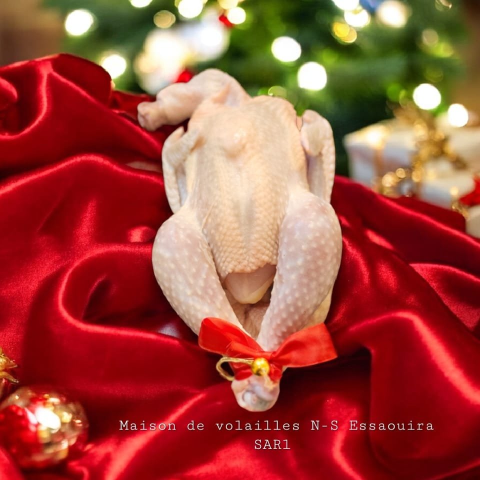 638c97a9-b7f9-454f-88d1-8f5ee2815bcb