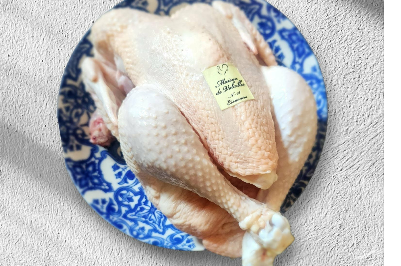 Copie de oeufs fermiers essaouira5