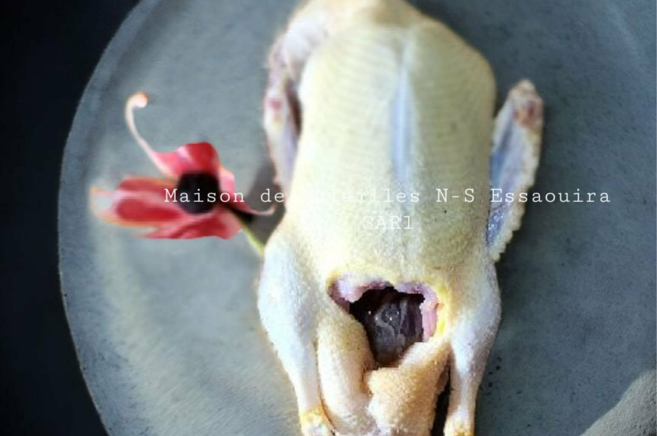 Copie de oeufs fermiers essaouira8