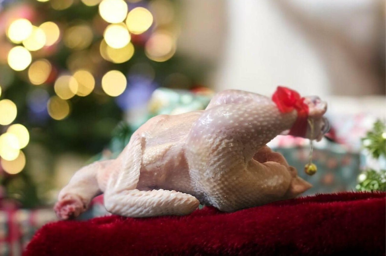 Copie de oeufs fermiers essaouira9