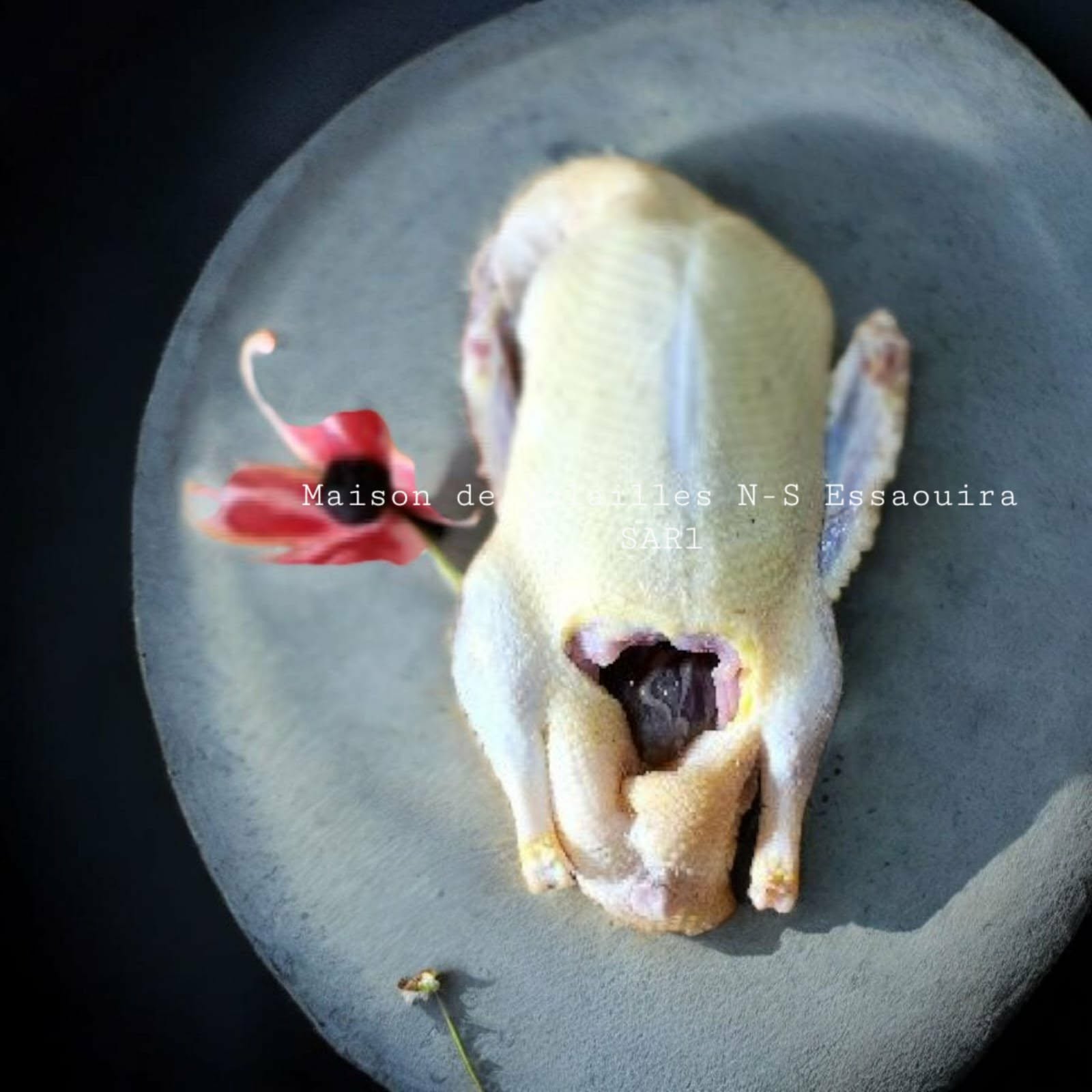 f0505ac0-e6d1-4f0a-8e5c-9313568ad2c2