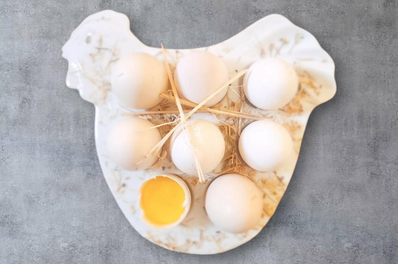 oeufs fermiers essaouira4