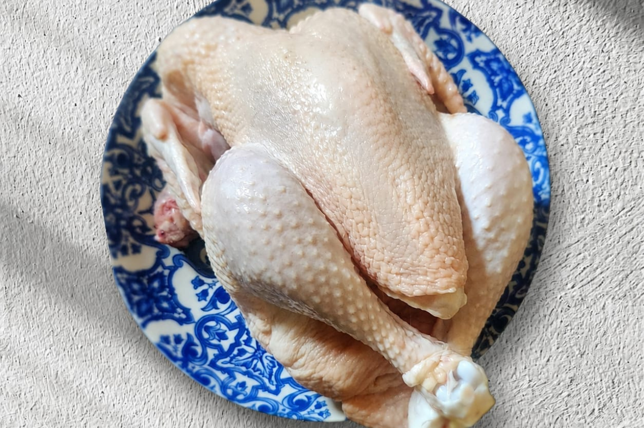 poulet fermiers essaouira6